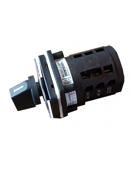 20A single-phase inverter switch