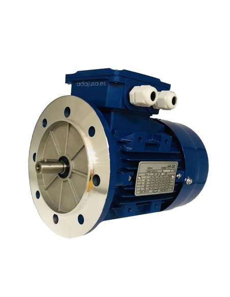 Three-Phase Cast Iron Electric Motor  400/690V 37Kw 50HP B5 2-Pole 3000 | ADAJUSA