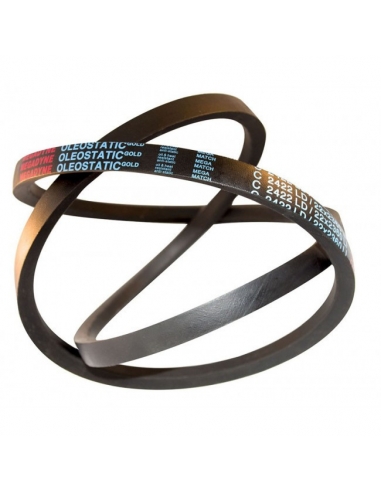 OLEOSTATIC GOLD Z 40 1/2 10x1030mm Trapecial Strap - MEGADYNE