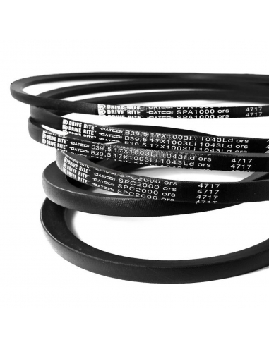 Correia trapezoidal clássica Z 38 965mm - DAYCO