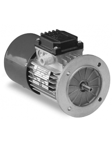 Motor trifásico 0,25Kw 0,33CV com freio 230/400V 1000 rpm Flange B5 - MGM