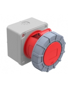 Industrial plug base plug base with CEE CETAC 32A 3 Pole box with IP67 neutral | ADAJUSA