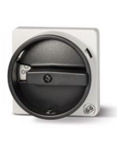 Switch plate front cam control 67x67mm grey Giovenzana | ADAJUSA