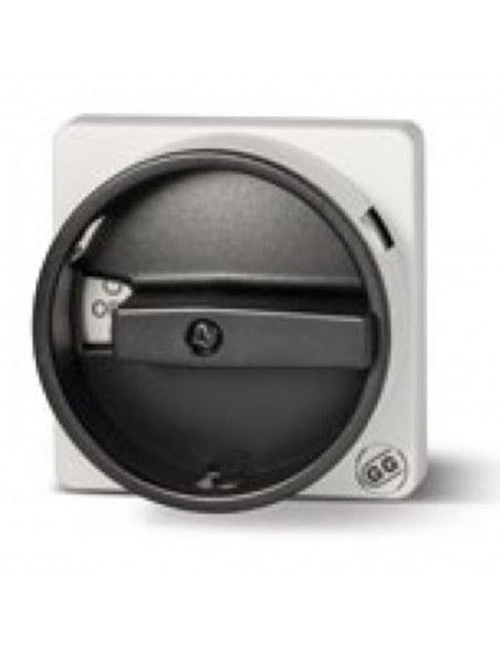 Switch plate front cam control 67x67mm grey Giovenzana | ADAJUSA