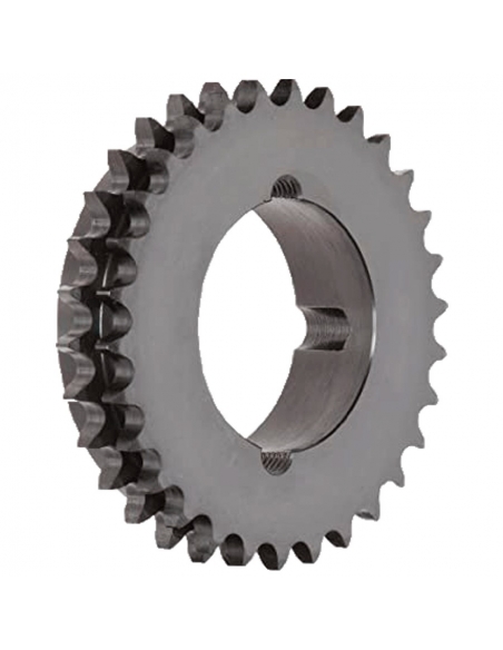 Sprockets double taper lock 1 x 17.02 16B - ADAJUSA