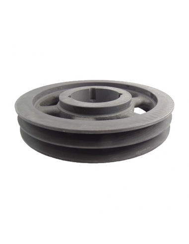 SPA 500x2 V-belt Pulley T2517 | ADAJUSA