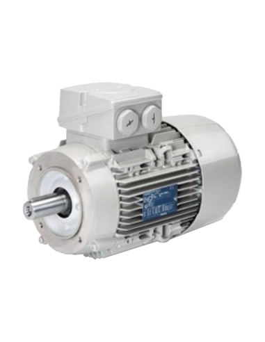 Motor trifásico 2.2Kw/3CV 3000 rpm Brida B14 - IE3 - Siemens FL