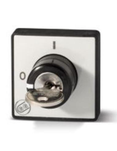 Placa mando frontal con llave para interruptores Giovenzana Adajusa