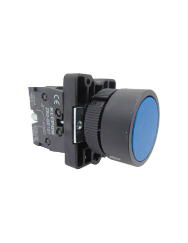 Blue open contact pushbutton (NA) complete