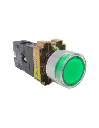 Pulsador metálico verde luminoso contacto abierto (NA) completo