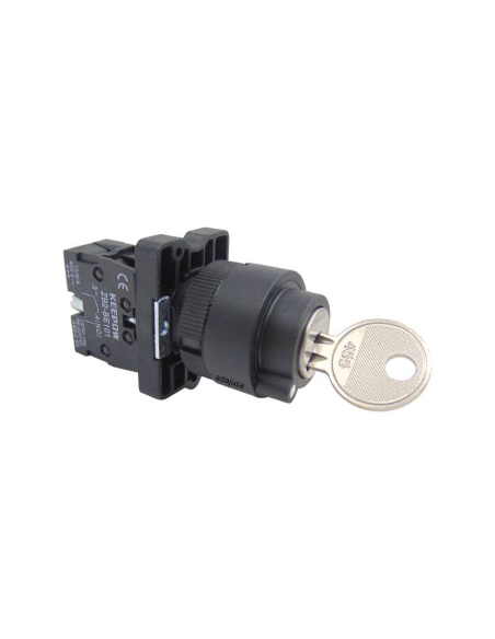 Selector 2 key positions 1 open contact (NA)