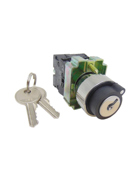 Metal selector 3 key positions 2 open contacts (NA) complete