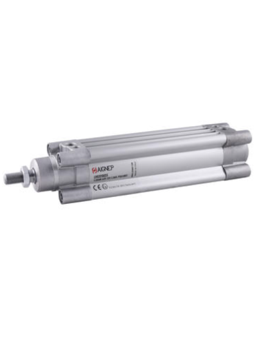 Pneumatic cylinder Ø125 double acting LH series - stroke on request Aignep
