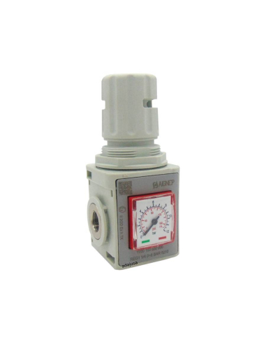 Regulador presión con manómetro y bloqueable 1/4 0-12 bar tamaño 1 serie FRL EVO  - Aignep