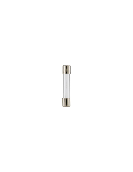 Fast melting glass fuse 5,2x20 20A | ADAJUSA | price