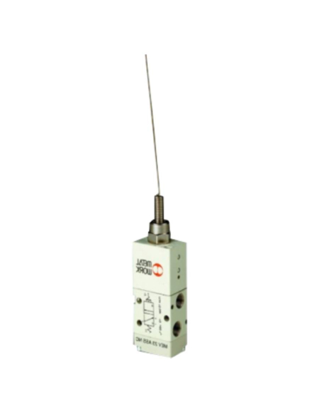 Final de carrera 1/8 3 vías antena servopilotoda - Metal Work