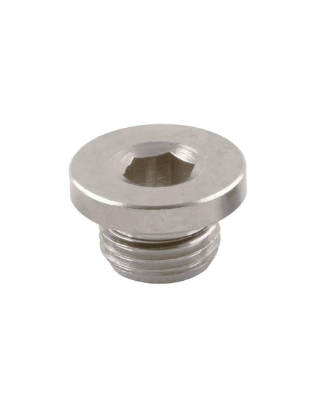 Pneumatic Plug 1 NBR gasket - Aignep | ADAJUSA