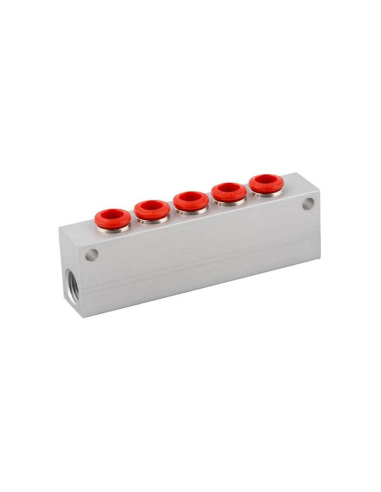 simple distributor 2 inputs 1/8 - 5 outputs 4mm in aluminum Series 50000 - Aignep