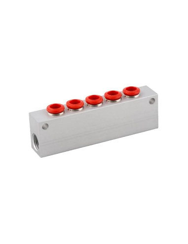 Distribuidor simple 2 entradas 1/4 - 5 salidas 6mm en aluminio Serie 50000 - Aignep | Adajusa
