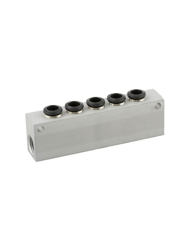 Distribuidor simple 2 entradas 1/8 - 5 salidas 4mm en aluminio Serie 55000 - Aignep | Adajusa