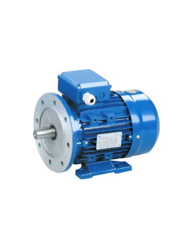 Motor trifásico 4Kw/5,5CV 230/400V 3000 rpm IE1 Brida B35 carcasa reducida