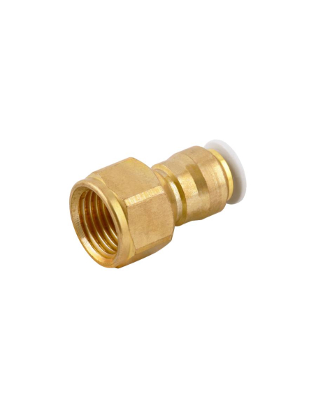 Straight female fitting 1/4 6mm tube for food and drinking water use Series 59000 FOOD - Aignep | ADAJUSA