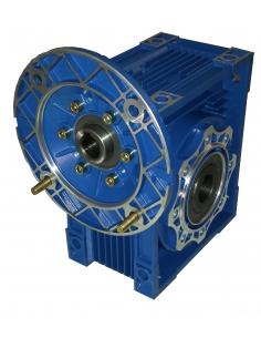 Reductor sin fin corona Tamaño 130 Brida PAM 300/38 - Motor carcasa 132 B5|adajusa 2