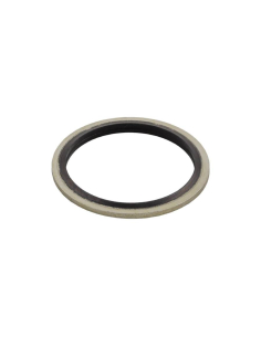 1/4 Gasket in Steel and NBR - Aignep | ADAJUSA