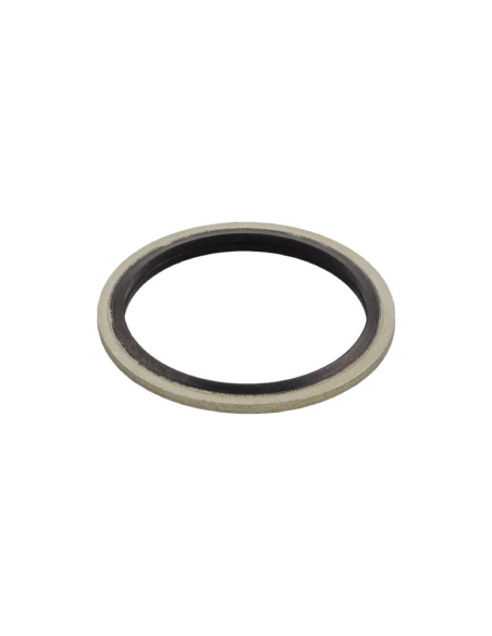 3/8 Gasket in Steel and NBR - Aignep | ADAJUSA