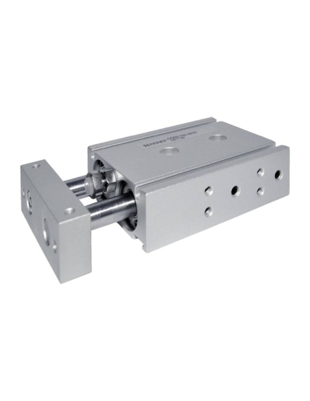 Compact pneumatic cylinder 25x80mm double acting parallel rods CG02 Series - Aignep | ADAJUSA | price