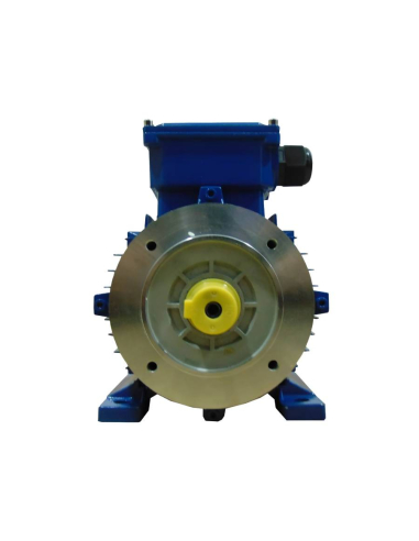 Single-phase electric motor 0,55Kw 0,75CV 230V Flange B34 3000 high torque | ADAJUSA | price