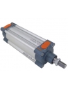 Pneumatic cylinders 125