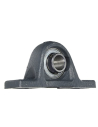 Foot support with cast iron bearings - INA
