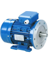 Single-phase motors 3000 rpm flange B35 (Legs) high torque