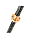 Trapezoidal screws