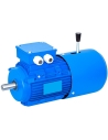 Motores freno trifásicos 1500 rpm brida B5